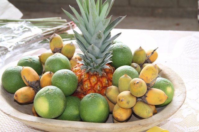 Galeria Proyectos Citricola