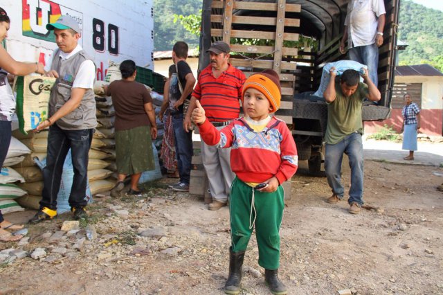 Galería Proyecto Hortalizas y frutas