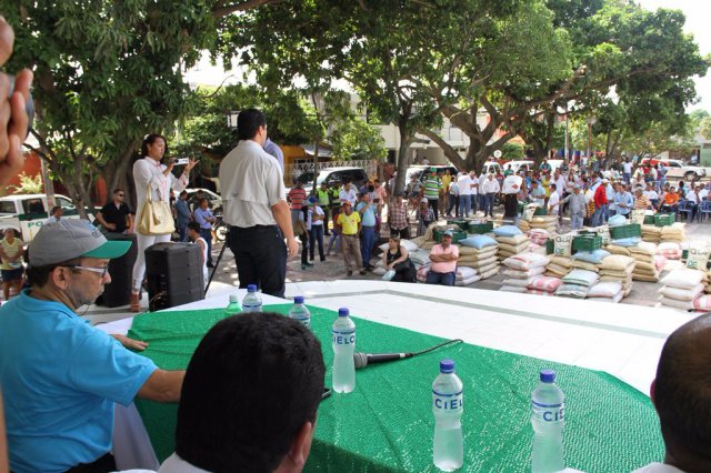 Galería Proyecto Hortalizas y frutas