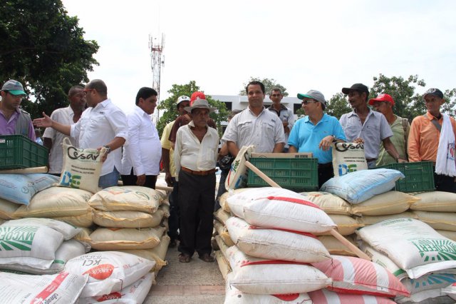 Galería Proyecto Hortalizas y frutas
