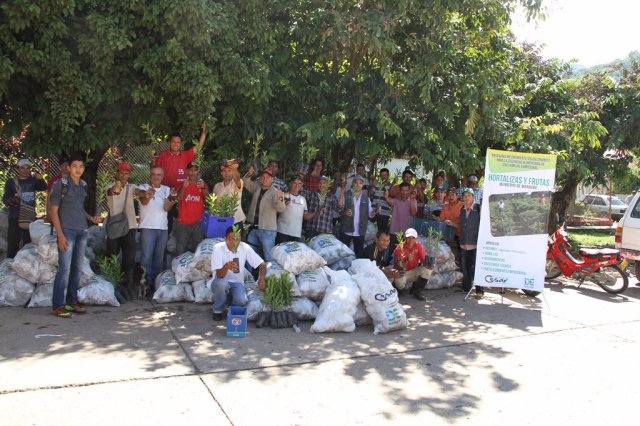 Galería Proyecto Hortalizas y frutas