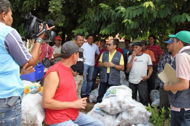 Galería Proyecto Hortalizas y frutas