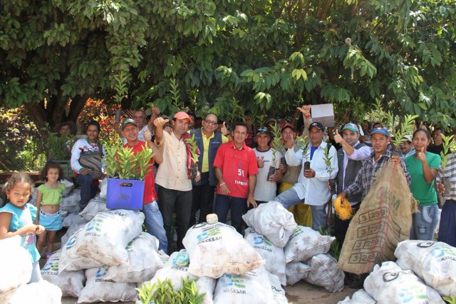 Galería Proyecto Hortalizas y frutas