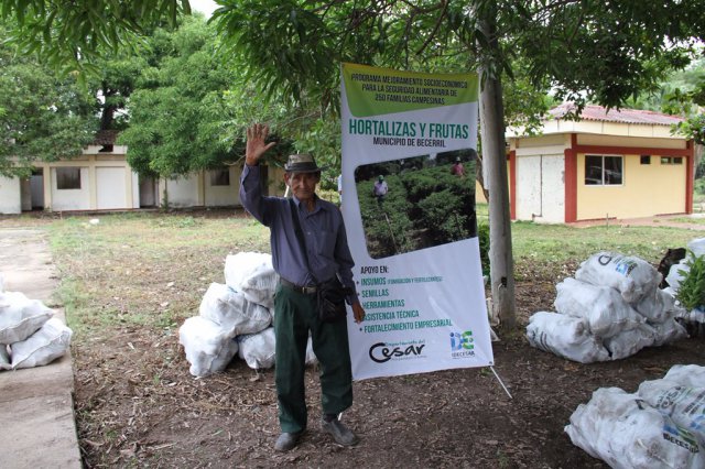 Galería Proyecto Hortalizas y frutas