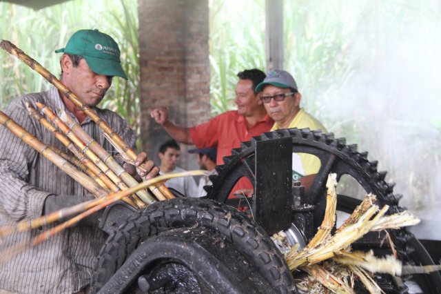 Galería Proyecto Trapiches Paneleros  