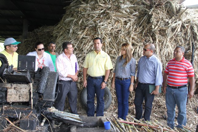 Galería Proyecto Trapiches Paneleros  
